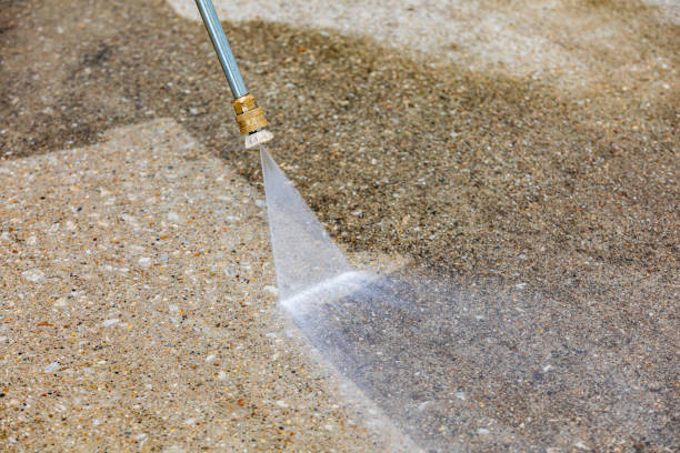 Best Animal Enclosure Cleaning  in Eaton Rapids, MI